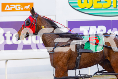 2025_PACEPIX_GP16092025_Race1_Philthejug_WIN_WEB-16