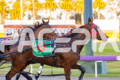 2025_PACEPIX_GP16092025_Race1_Philthejug_WIN_WEB-3