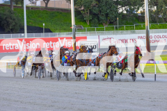 2025_PACEPIX_GP16092025_Race1_Philthejug_WIN_WEB-4