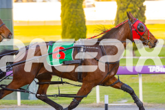 2025_PACEPIX_GP16092025_Race1_Philthejug_WIN_WEB-7