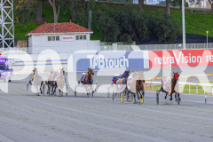 2025_PACEPIX_GP16092025_Race1_Philthejug_WIN_WEB-8