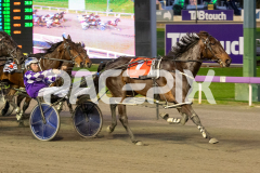 Pocket-The-Change_26-06-2026_WIN_Gloucester-Park_1__07