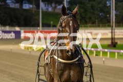 Pocket-The-Change_26-06-2026_WIN_Gloucester-Park_1__13