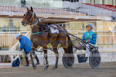 RACE 1 - Precious Gem
