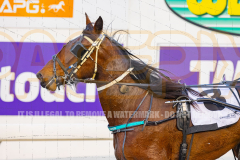 2_2026_PACEPIX_GP24072026_RACE1_PreciousGem_WIN_WEB-11