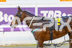 2025_PACEPIX_GP29082025_RACE1_Rebline_WIN_WEB-11