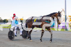 2025_PACEPIX_GP29082025_RACE1_Rebline_WIN_WEB-15
