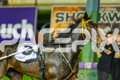 2026_PACEPIX_GP18042026_RACE10_Relim_WIN_WEB-15
