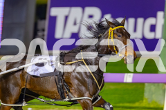 2026_PACEPIX_GP18042026_RACE10_Relim_WIN_WEB-6