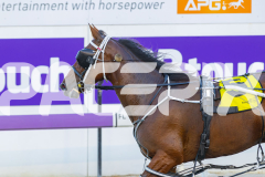2026_PACEPIX_GP28022026_RACE1_ResetTheBar_WIN_WEB-11