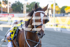 2026_PACEPIX_GP28022026_RACE1_ResetTheBar_WIN_WEB-12