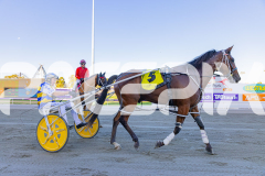 2026_PACEPIX_GP28022026_RACE1_ResetTheBar_WIN_WEB-13