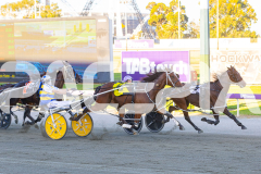 2026_PACEPIX_GP28022026_RACE1_ResetTheBar_WIN_WEB-4