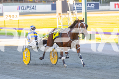 2026_PACEPIX_GP28022026_RACE1_ResetTheBar_WIN_WEB-7