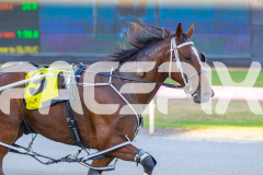 2026_PACEPIX_GP28022026_RACE1_ResetTheBar_WIN_WEB-8
