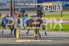 2026_PACEPIX_GP06102026_Race1_Rockability_WIN_WEB-2