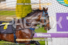2026_PACEPIX_GP06102026_Race1_Rockability_WIN_WEB-4