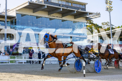 RACE 1 - Rockandrollartist 