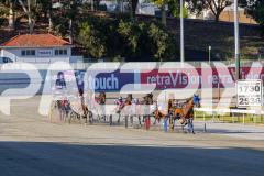 2025_PACEPIX_GP12122025_RACE1_Rocknrollartist_WIN_WEB-1