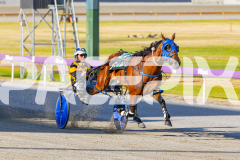 2025_PACEPIX_GP12122025_RACE1_Rocknrollartist_WIN_WEB-10