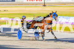 2025_PACEPIX_GP12122025_RACE1_Rocknrollartist_WIN_WEB-11