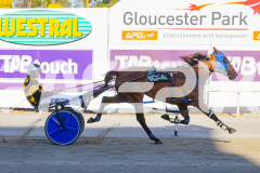2025_PACEPIX_GP12122025_RACE1_Rocknrollartist_WIN_WEB-13