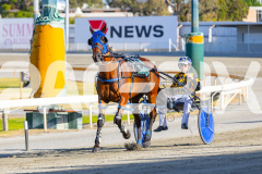 2025_PACEPIX_GP12122025_RACE1_Rocknrollartist_WIN_WEB-16