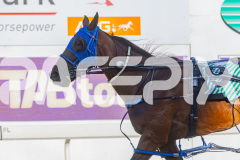 2025_PACEPIX_GP12122025_RACE1_Rocknrollartist_WIN_WEB-18