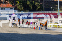 2025_PACEPIX_GP12122025_RACE1_Rocknrollartist_WIN_WEB-2