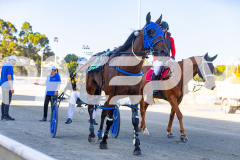 2025_PACEPIX_GP12122025_RACE1_Rocknrollartist_WIN_WEB-20