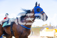 2025_PACEPIX_GP12122025_RACE1_Rocknrollartist_WIN_WEB-21