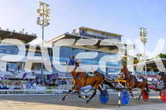 2025_PACEPIX_GP12122025_RACE1_Rocknrollartist_WIN_WEB-22
