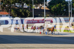 2025_PACEPIX_GP12122025_RACE1_Rocknrollartist_WIN_WEB-3
