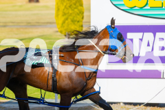 2025_PACEPIX_GP12122025_RACE1_Rocknrollartist_WIN_WEB-4