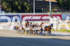 2025_PACEPIX_GP12122025_RACE1_Rocknrollartist_WIN_WEB-5