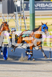 2025_PACEPIX_GP12122025_RACE1_Rocknrollartist_WIN_WEB-6