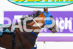 2025_PACEPIX_GP12122025_RACE1_Rocknrollartist_WIN_WEB-7
