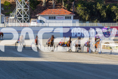 2025_PACEPIX_GP12122025_RACE1_Rocknrollartist_WIN_WEB-8