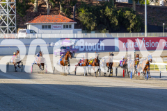 2025_PACEPIX_GP12122025_RACE1_Rocknrollartist_WIN_WEB-9