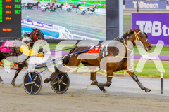 2025_PACEPIX_GP22042025_RACE1_RockinTheTrend_WIN_WEB-11