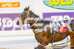 2025_PACEPIX_GP22042025_RACE1_RockinTheTrend_WIN_WEB-17