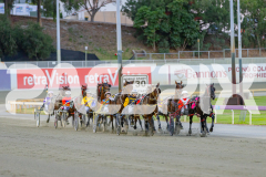 2025_PACEPIX_GP22042025_RACE1_RockinTheTrend_WIN_WEB-2