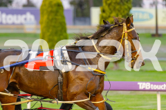 2025_PACEPIX_GP22042025_RACE1_RockinTheTrend_WIN_WEB-4
