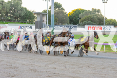 2023_HCC_GP12082025_Race1_Rose-Of-Clare_WEB-1