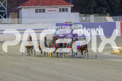 2025_PACEPIX_GP27052025_RACE1_RoxTheWorld_WIN_WEB-1