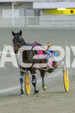 2025_PACEPIX_GP27052025_RACE1_RoxTheWorld_WIN_WEB-12