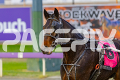 2025_PACEPIX_GP27052025_RACE1_RoxTheWorld_WIN_WEB-15
