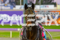 2025_PACEPIX_GP27052025_RACE1_RoxTheWorld_WIN_WEB-16