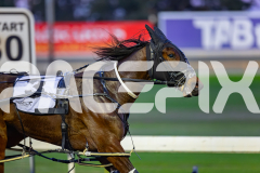 2026_PACEPIX_GP07072026_Race1_Scandaleyes_WIN_WEB-10