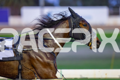 2026_PACEPIX_GP07072026_Race1_Scandaleyes_WIN_WEB-11